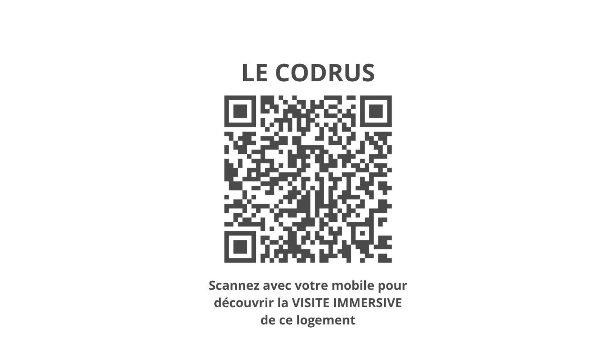 Le Codrus - Charmant Appartement Dans L'Hyper Centre Toulousain Toulouse Exterior foto